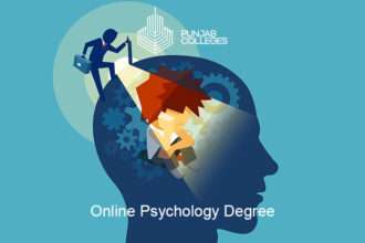 A student works on their online accredited psychology degree from their home office, engaging in career planning.