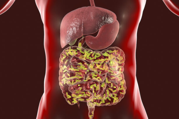 Gut Health: The Second Brain You Need to Understand