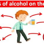 Alcohol and Your Body: The Real Science, Simplified