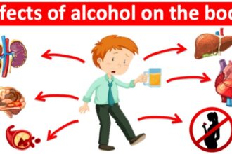 Alcohol and Your Body: The Real Science, Simplified