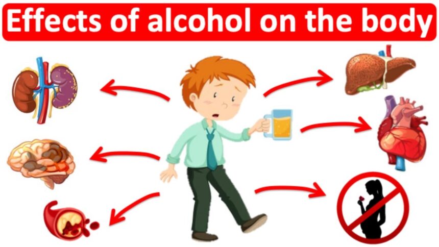 Alcohol and Your Body: The Real Science, Simplified